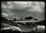 Odile Lapujoulade - Prix du paysage - Sur l'île d'Herm